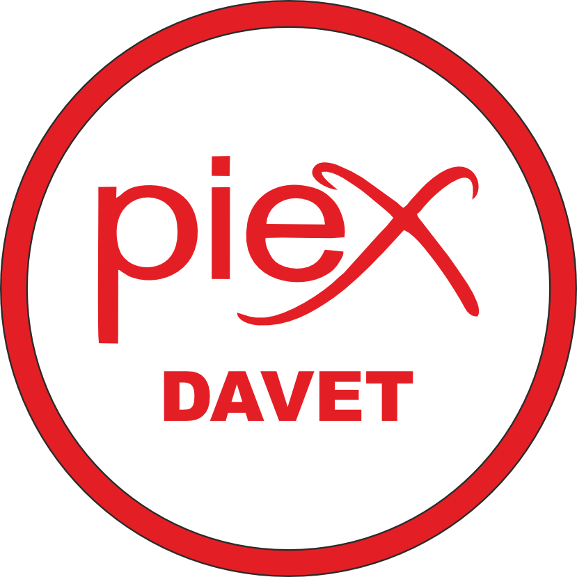 Piex Organizasyon